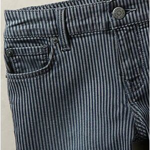 New Anthropologie "Level 99 Liza Skinny Jeans in Railroad Stripe",